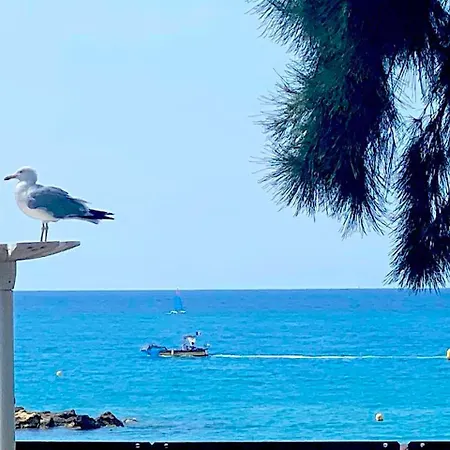 Apartmán Sur La Plage, Le Royal